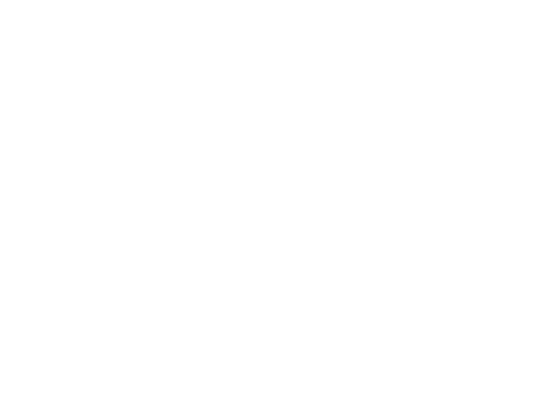 Evs Cosmetics